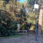 Percorsi Naturalistici Pineta 3