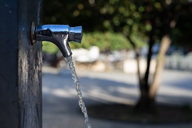 Fontana Pfas