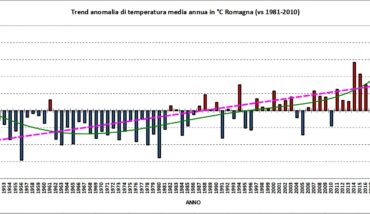 Grafico Randi