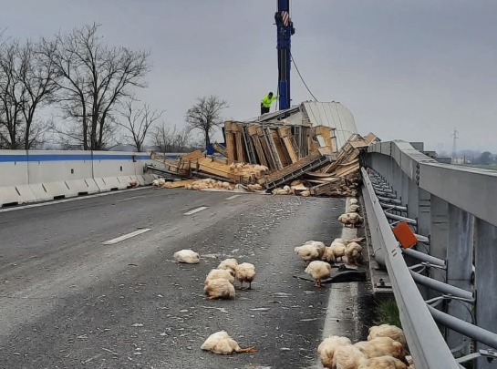 Incidente Polli E45