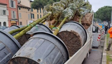 Lecci Via Maggiore