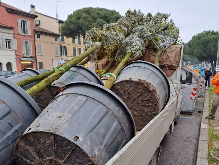 Lecci Via Maggiore