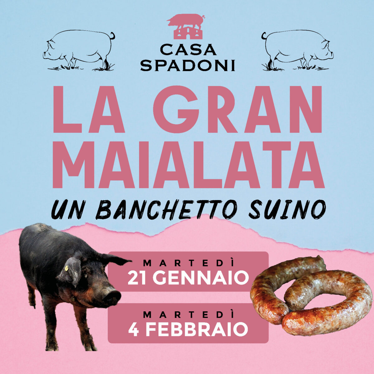Mercato Coperto Maialata 2
