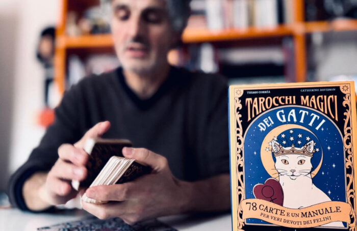 Mercato Coperto Tarocchi Gatti 2 Copia