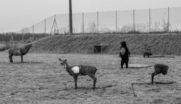 Fauna Italiana