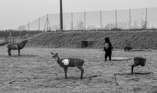 Fauna Italiana
