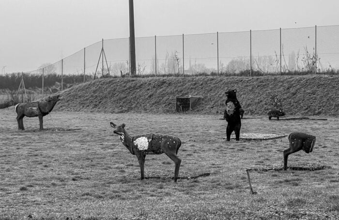 Fauna Italiana