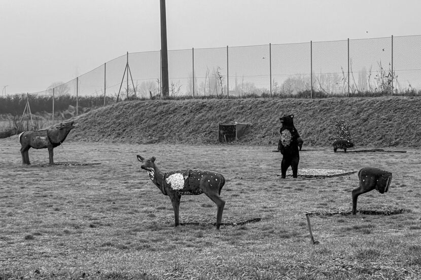 Fauna Italiana
