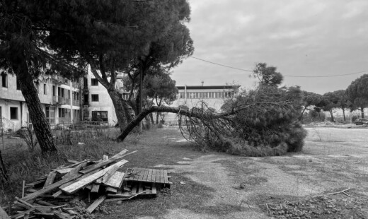 Soundtrack For Falling Trees