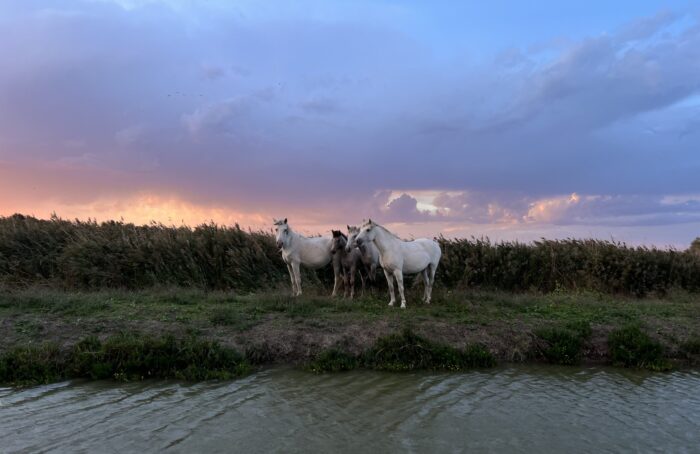 Image00025