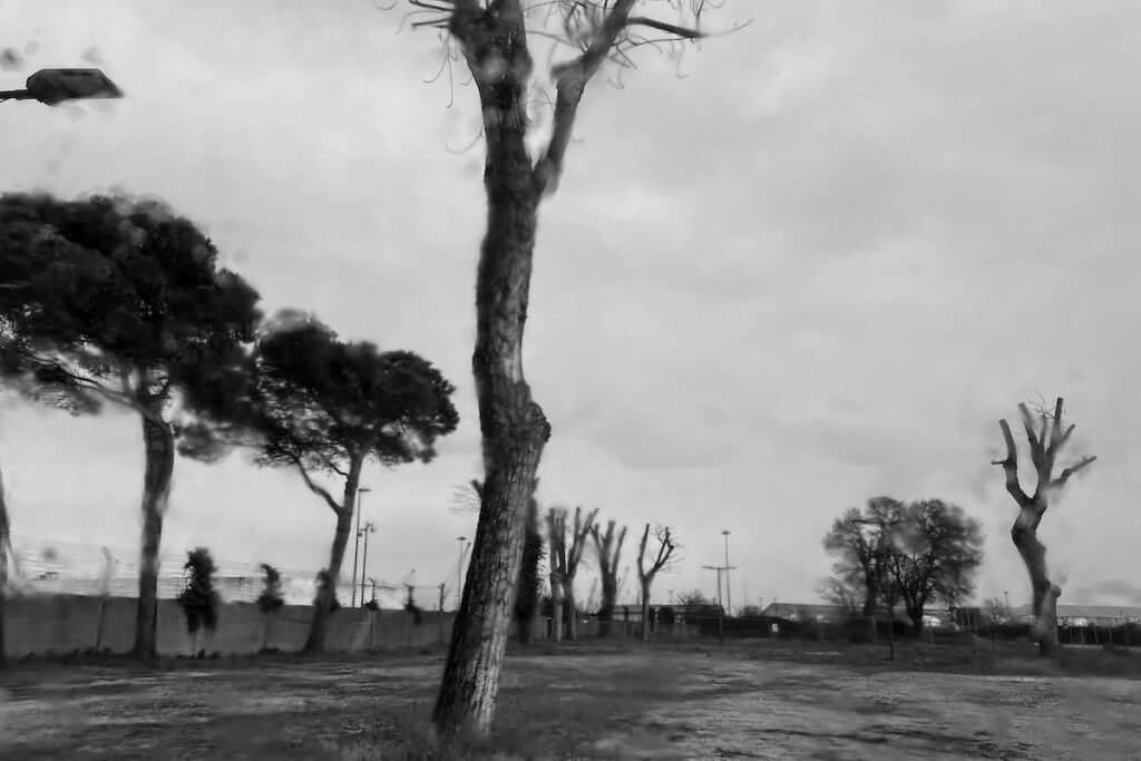 Estratti da giorni cupi