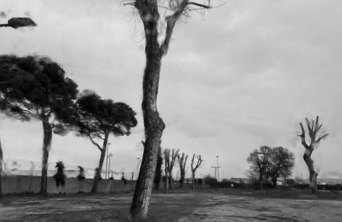 Estratti Da Giorni Cupi