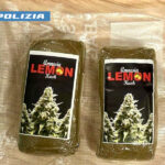 I Panetti In Possesso Del Giovane