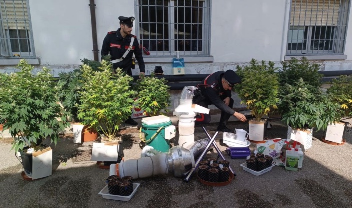 ARRESTO PIANTE CARABINIERI
