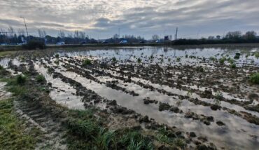 Azienda Agraria IT Perdisa Foto 3 Jpg