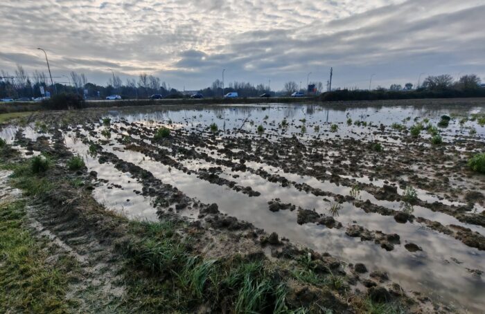 Azienda Agraria IT Perdisa Foto 3 Jpg
