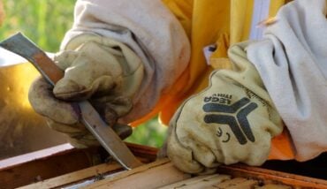 LEGA COSTRUZIONI APISTICHE 