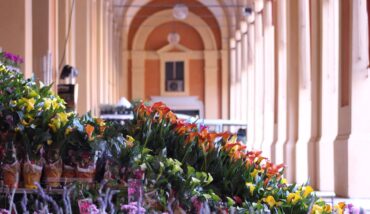 Lugo Garden Festival Fiori (1) 