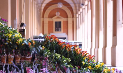 Lugo Garden Festival Fiori (1)