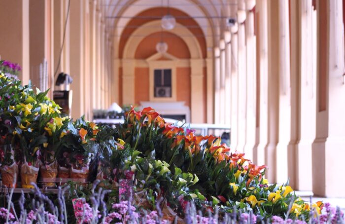 Lugo Garden Festival Fiori (1)