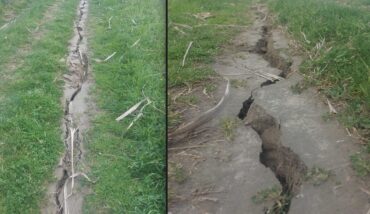 Lamone Savarna Conventello