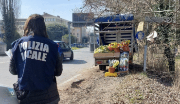 Mimose Polizia