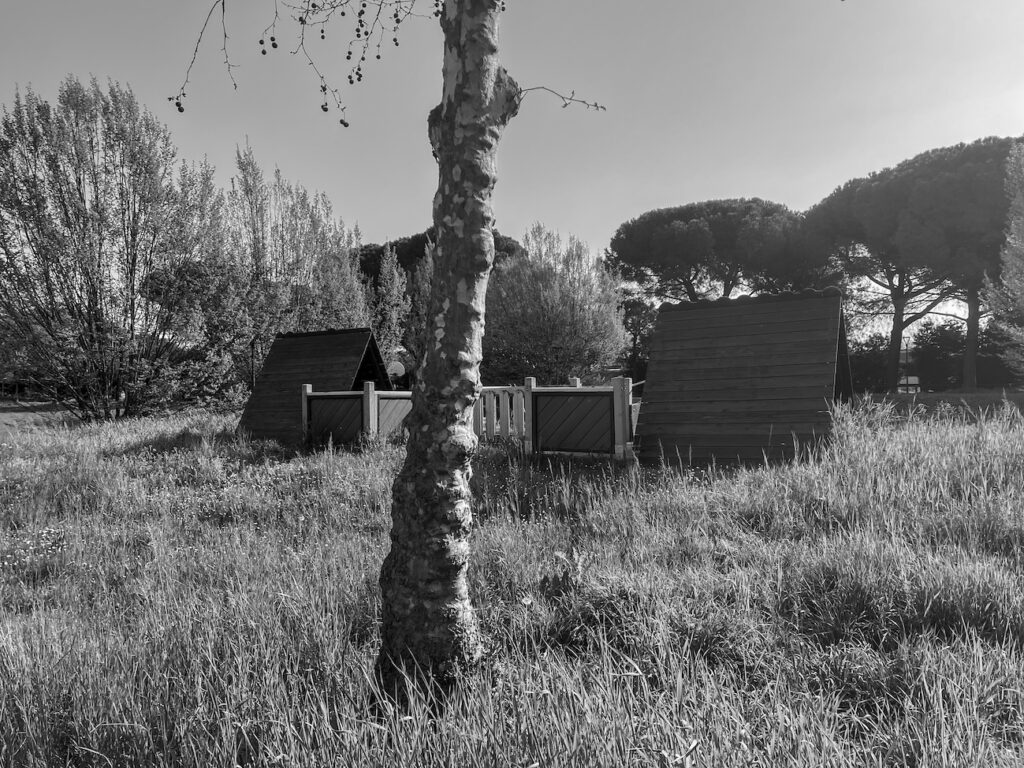 Per gioco