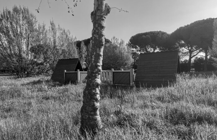 Per Gioco