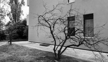 In Un Angolo