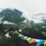 Picsum ID: 780
