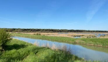 Ortazzo E Ortazzino, Zone Naturali Protette Nel Parco Del Delta Del Po 