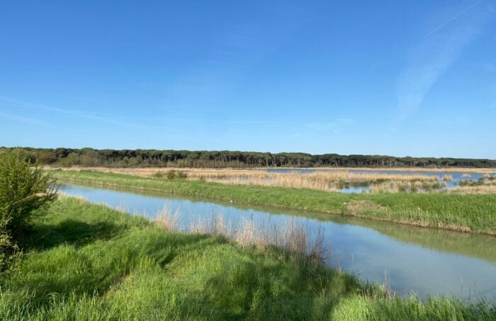 Ortazzo E Ortazzino, Zone Naturali Protette Nel Parco Del Delta Del Po
