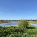 Ortazzo E Ortazzino, Zone Naturali Protette Nel Parco Del Delta Del Po