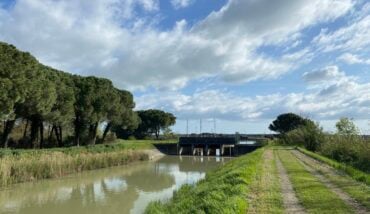 Ortazzo E Ortazzino, Zone Naturali Protette Nel Parco Del Delta Del Po 
