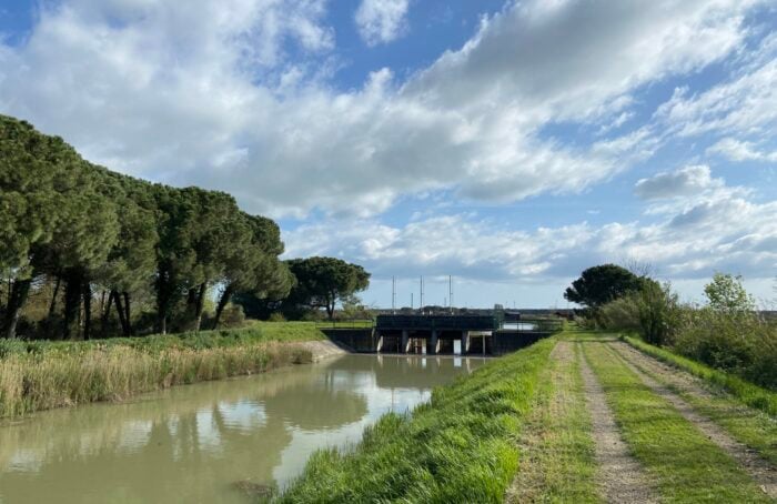 Ortazzo E Ortazzino, Zone Naturali Protette Nel Parco Del Delta Del Po