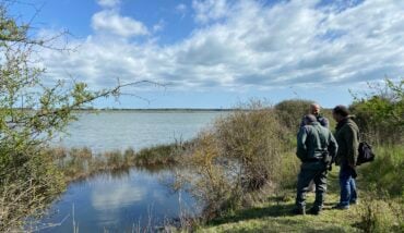 Ortazzo E Ortazzino, Zone Naturali Protette Nel Parco Del Delta Del Po 