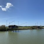 L'oasi Protetta Ortazzo Ortazzino Nel Parco Del Delta Tra Fosso Ghiaia E Lido Di Classe