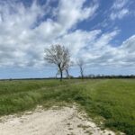 L'oasi Protetta Ortazzo Ortazzino Nel Parco Del Delta Tra Fosso Ghiaia E Lido Di Classe