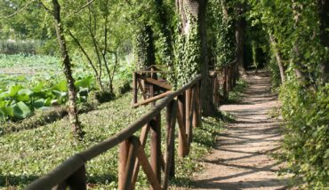 Parco Del Loto