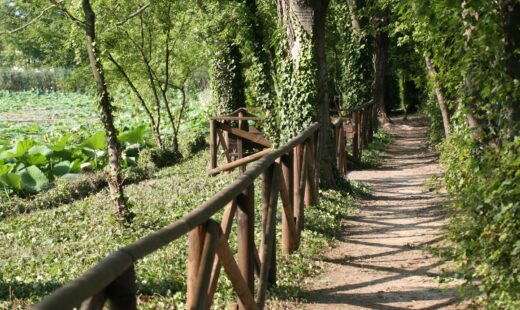 Parco Del Loto