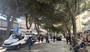 Pini Lido Di Savio