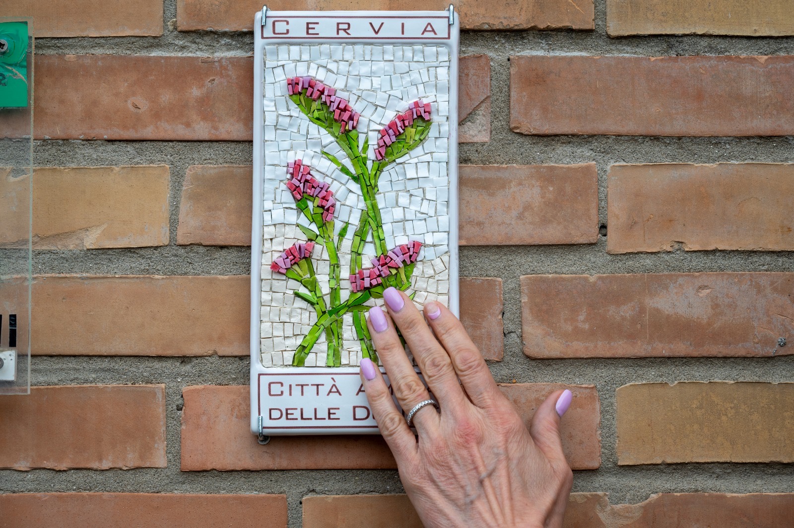 Mattonella In Mosaico 1