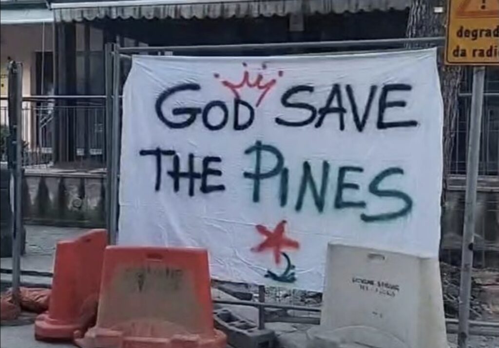 Striscione Pini