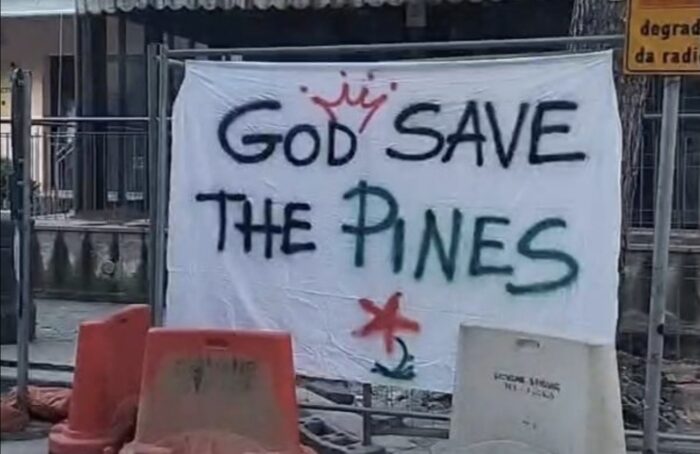 Striscione Pini