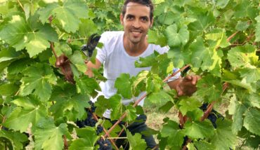 Vignaiolo
