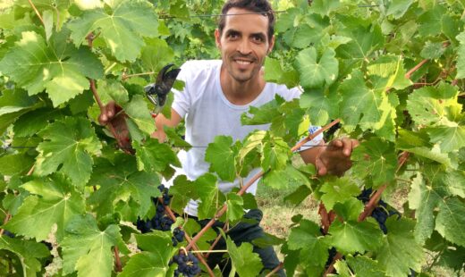 Vignaiolo