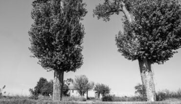 L'esplosione 