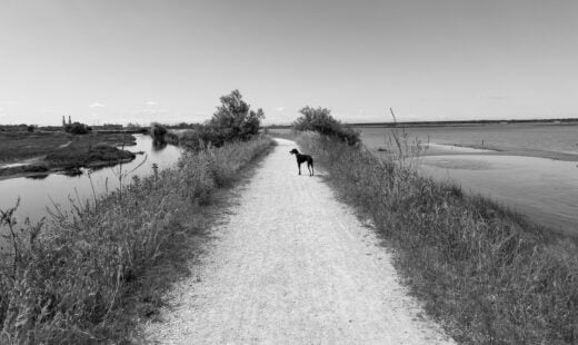 Io, Lola E Il Paesaggio