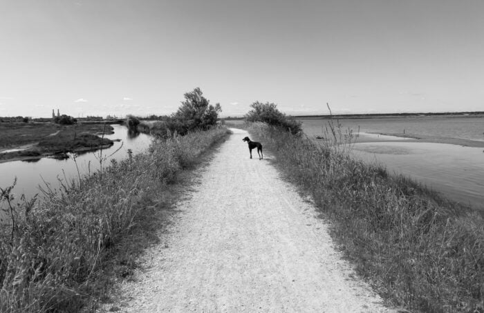 Io, Lola E Il Paesaggio