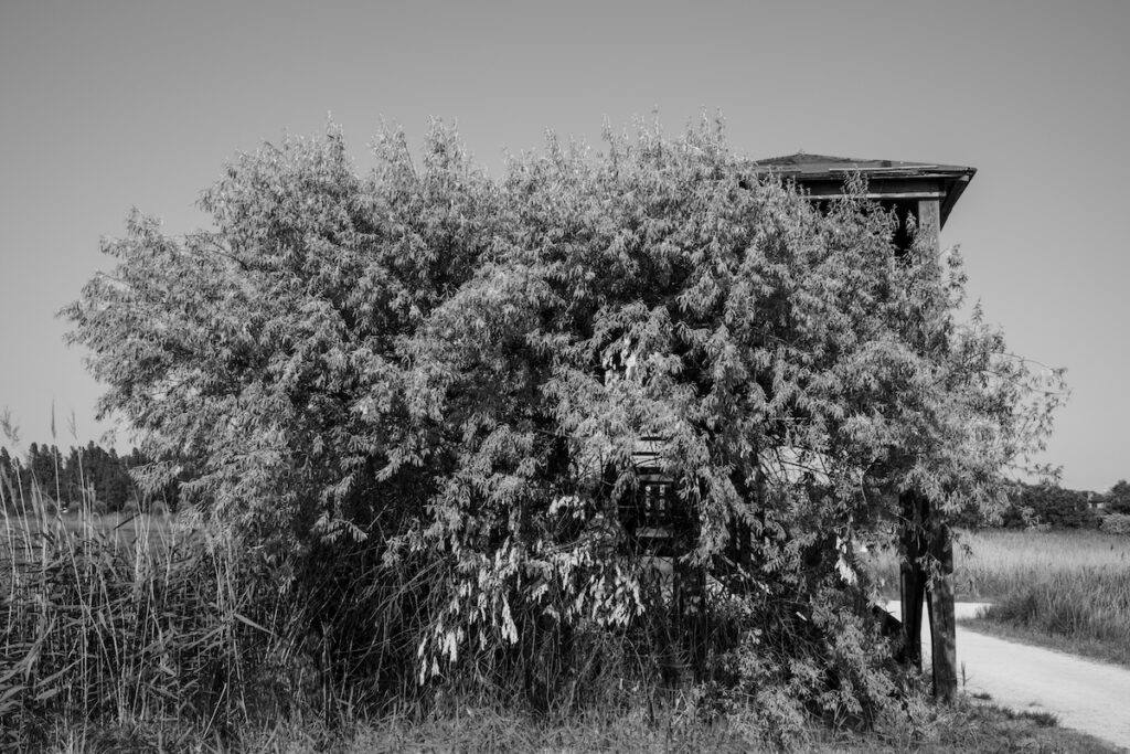 La natura vince